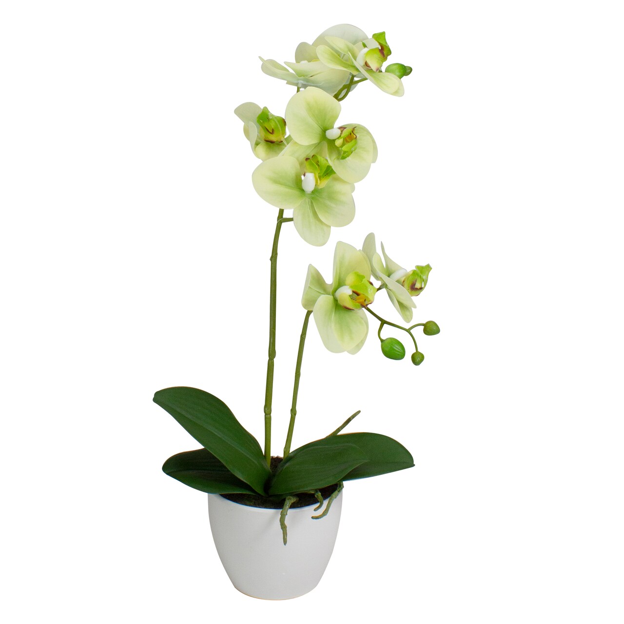 Northlight Real Touch™️Artificial Orchid Potted Plant - 14" - Green